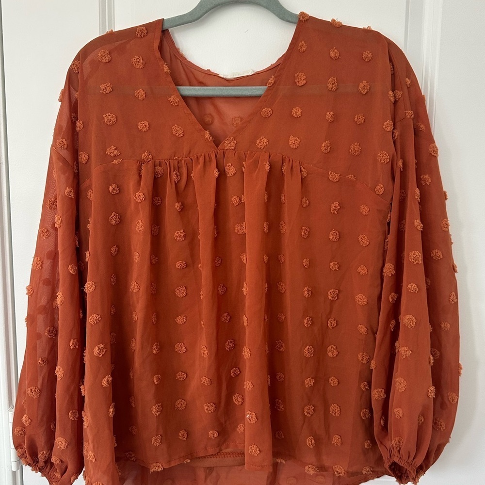And the why Rust Orange Swiss Dot Long Sleeve  Blouse